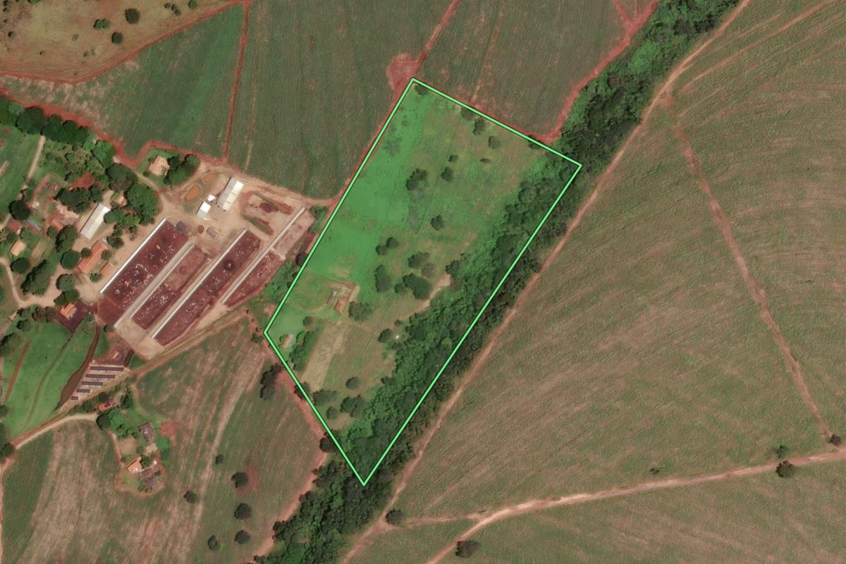 Imagem de satélite do imóvel rural em São Simão (SP), com o contorno declarado no CAR desenhado por cima.