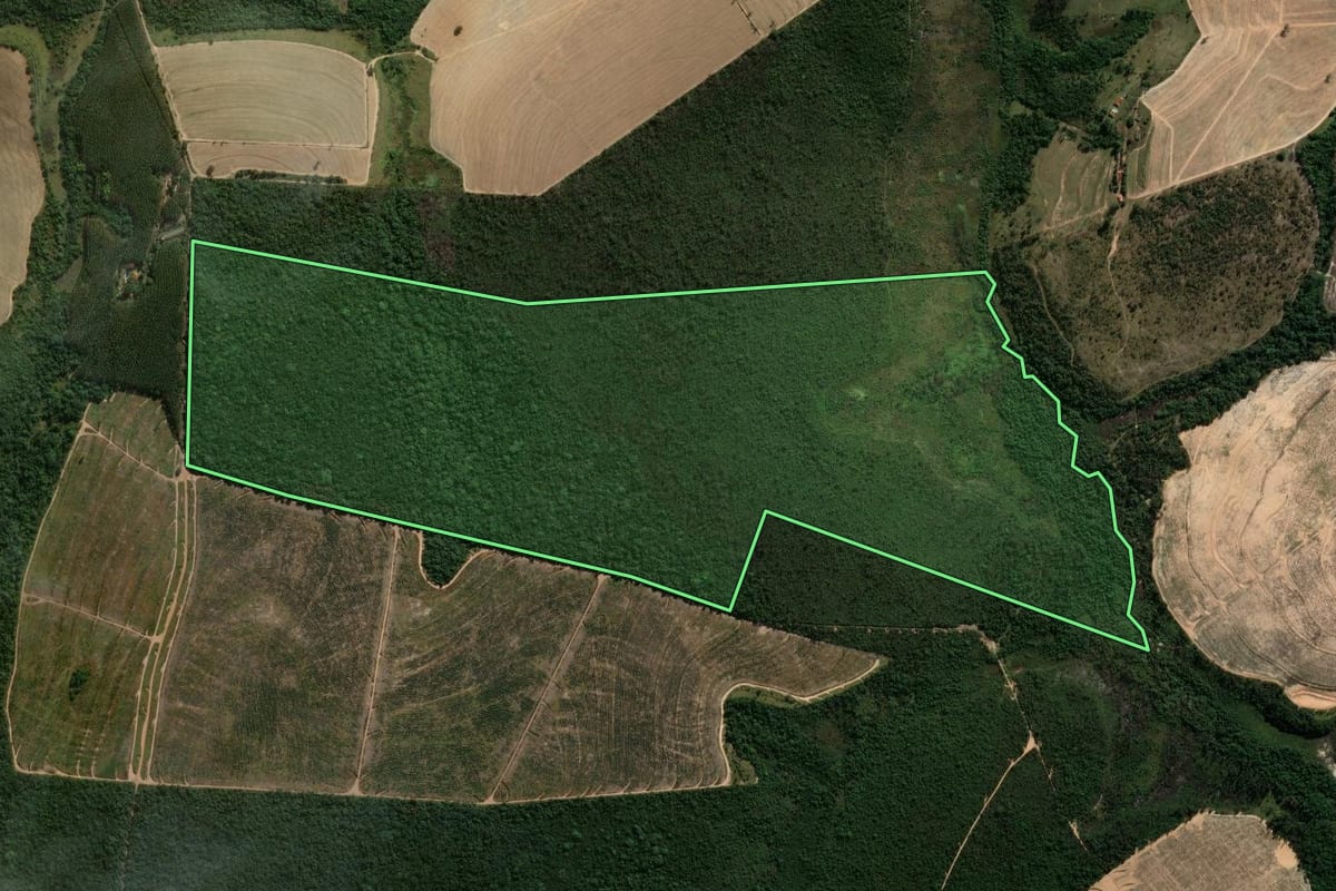 Imagem de satélite do imóvel rural em São Simão (SP), com o contorno declarado no CAR desenhado por cima.