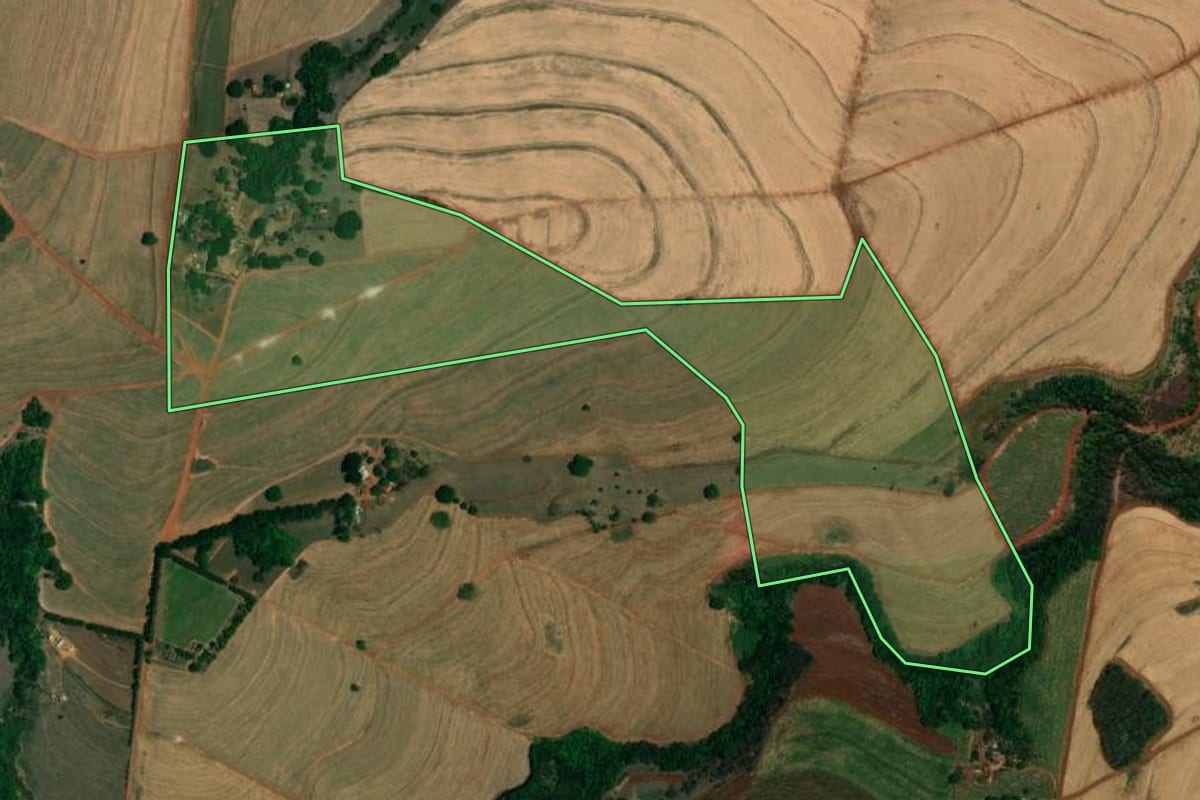 Imagem de satélite do imóvel rural em São Simão (SP), com o contorno declarado no CAR desenhado por cima.