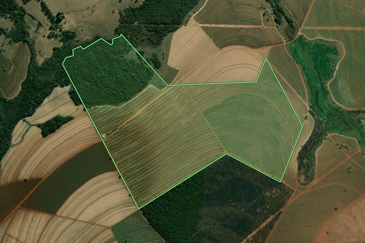 Imagem de satélite do imóvel rural em São Simão (SP), com o contorno declarado no CAR desenhado por cima.