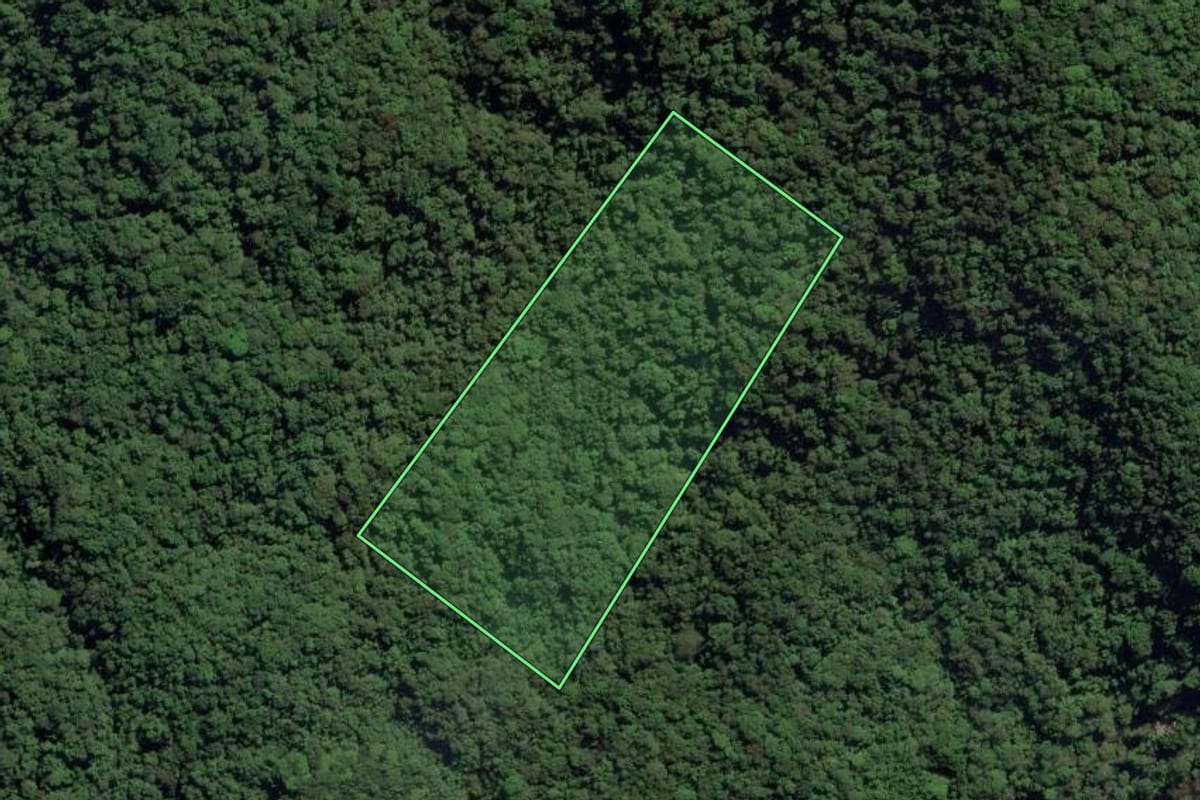 Imagem de satélite do imóvel rural em São Vicente (SP), com o contorno declarado no CAR desenhado por cima.