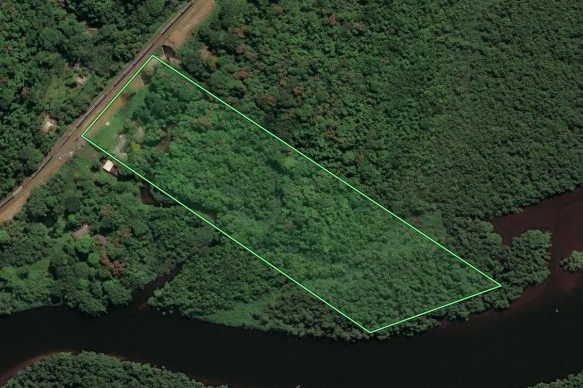Imagem de satélite do imóvel rural em São Vicente (SP), com o contorno declarado no CAR desenhado por cima.