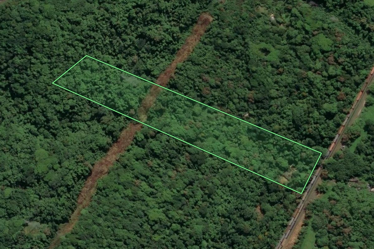 Imagem de satélite do imóvel rural em São Vicente (SP), com o contorno declarado no CAR desenhado por cima.