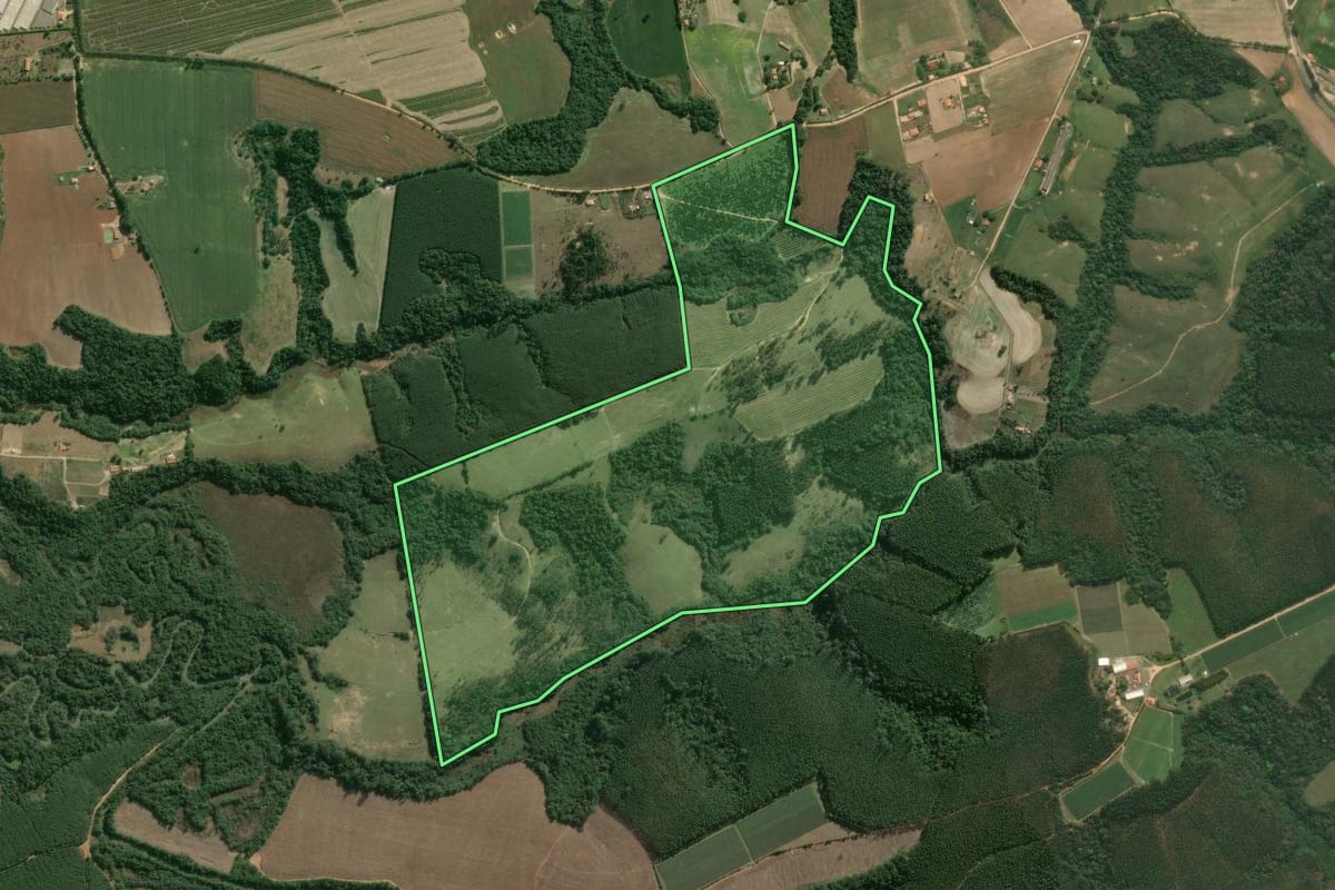 Imagem de satélite do imóvel rural em Sarapuí (SP), com o contorno declarado no CAR desenhado por cima.