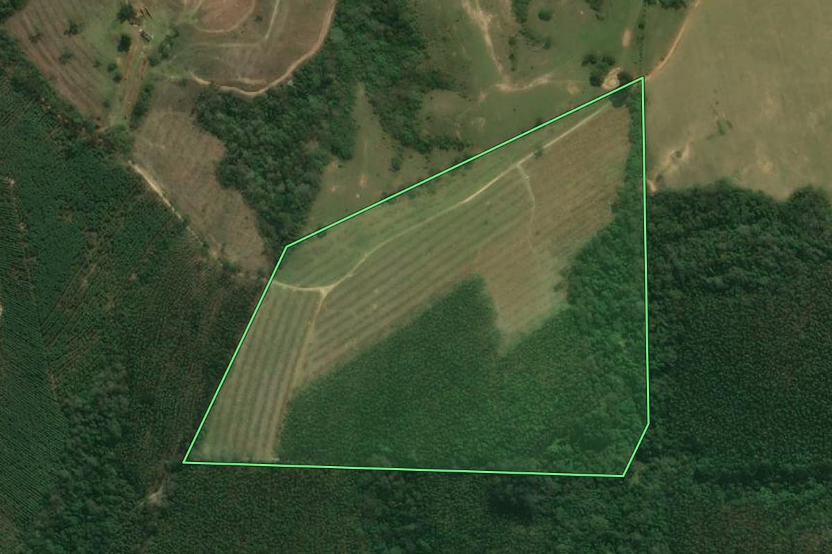 Imagem de satélite do imóvel rural em Sarapuí (SP), com o contorno declarado no CAR desenhado por cima.