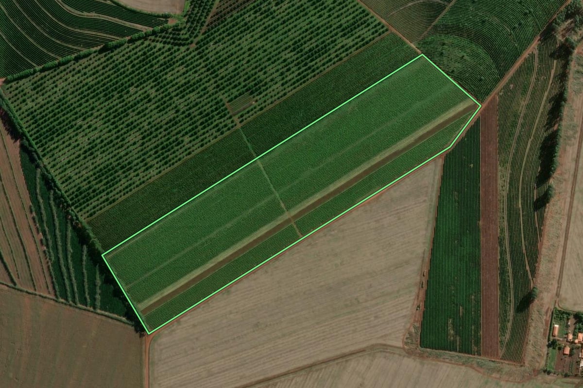 Imagem de satélite do imóvel rural em Sarutaiá (SP), com o contorno declarado no CAR desenhado por cima.