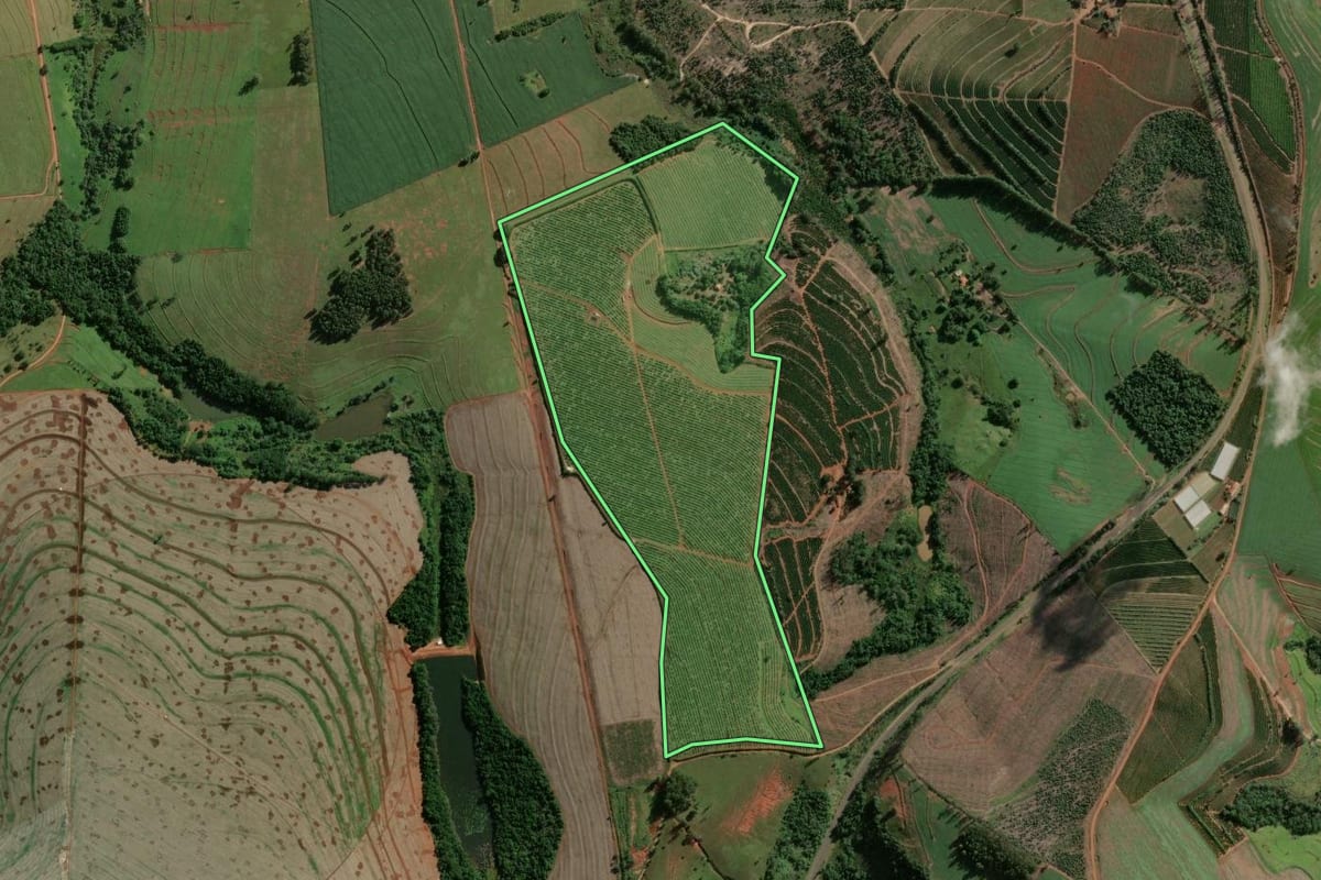 Imagem de satélite do imóvel rural em Sarutaiá (SP), com o contorno declarado no CAR desenhado por cima.