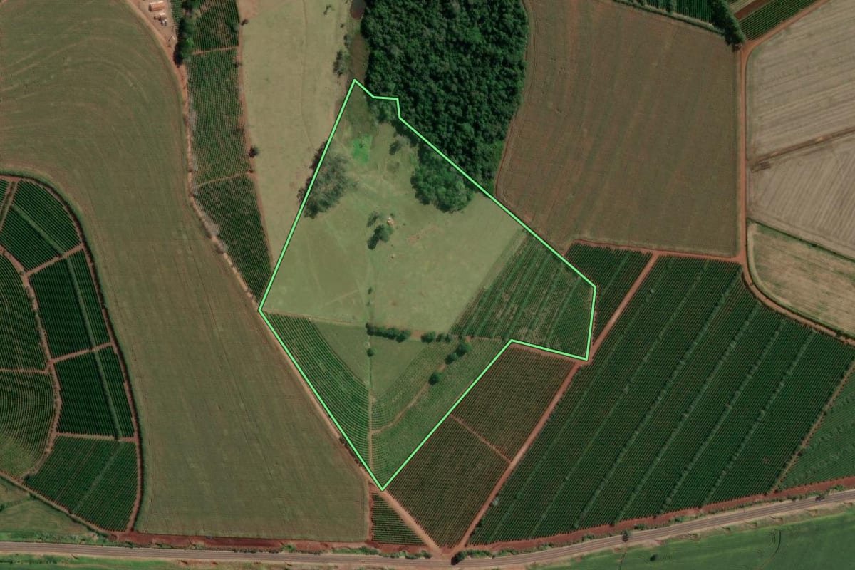 Imagem de satélite do imóvel rural em Sarutaiá (SP), com o contorno declarado no CAR desenhado por cima.