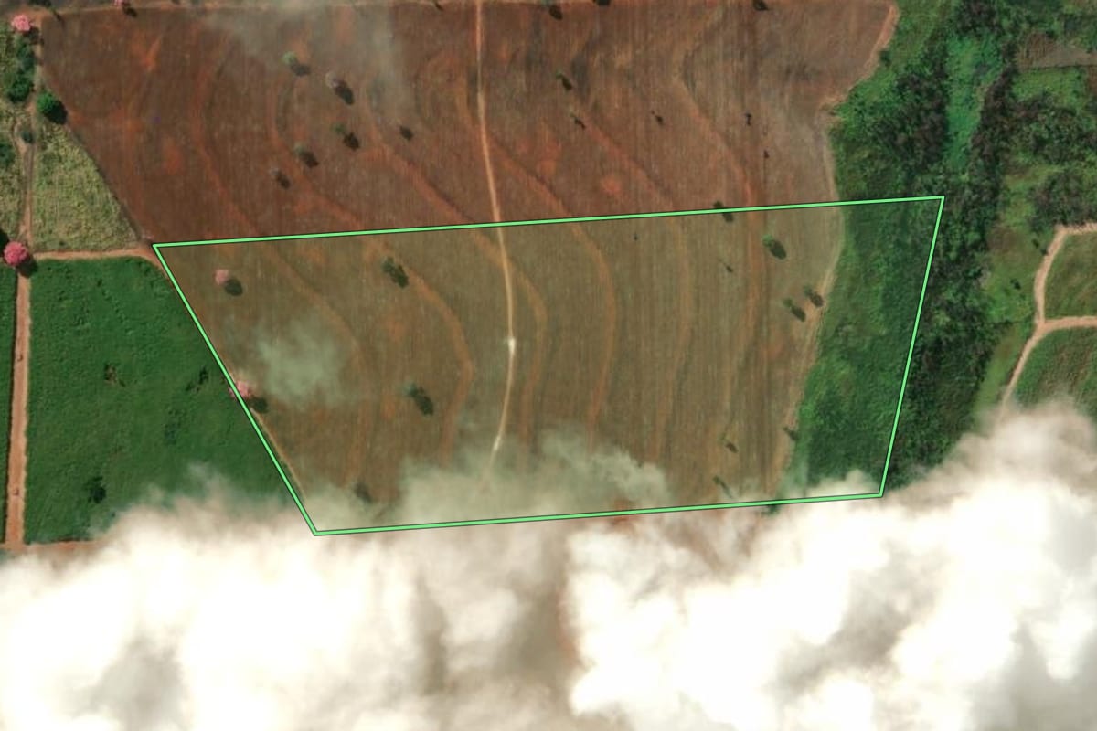 Imagem de satélite do imóvel rural em Sebastianópolis do Sul (SP), com o contorno declarado no CAR desenhado por cima.