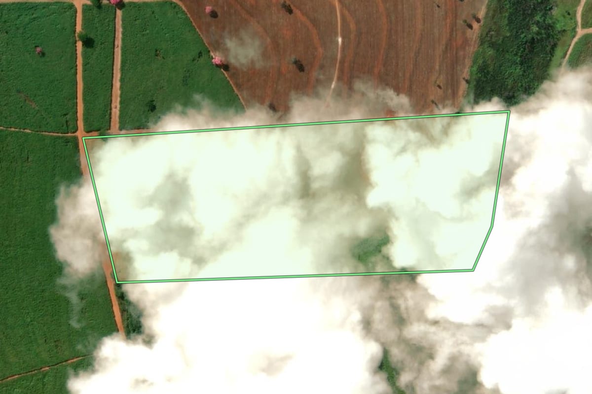 Imagem de satélite do imóvel rural em Sebastianópolis do Sul (SP), com o contorno declarado no CAR desenhado por cima.