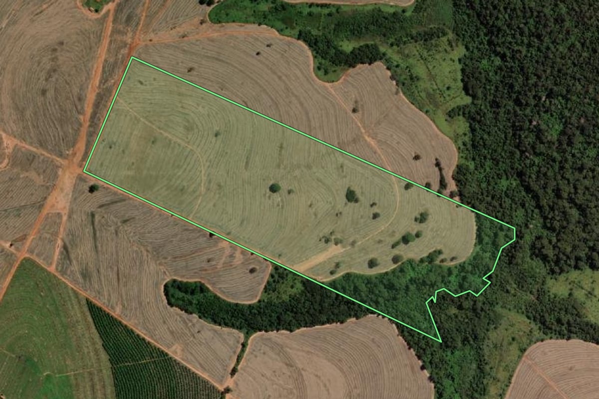Imagem de satélite do imóvel rural em Sebastianópolis do Sul (SP), com o contorno declarado no CAR desenhado por cima.