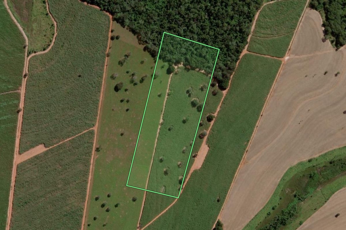 Imagem de satélite do imóvel rural em Sebastianópolis do Sul (SP), com o contorno declarado no CAR desenhado por cima.