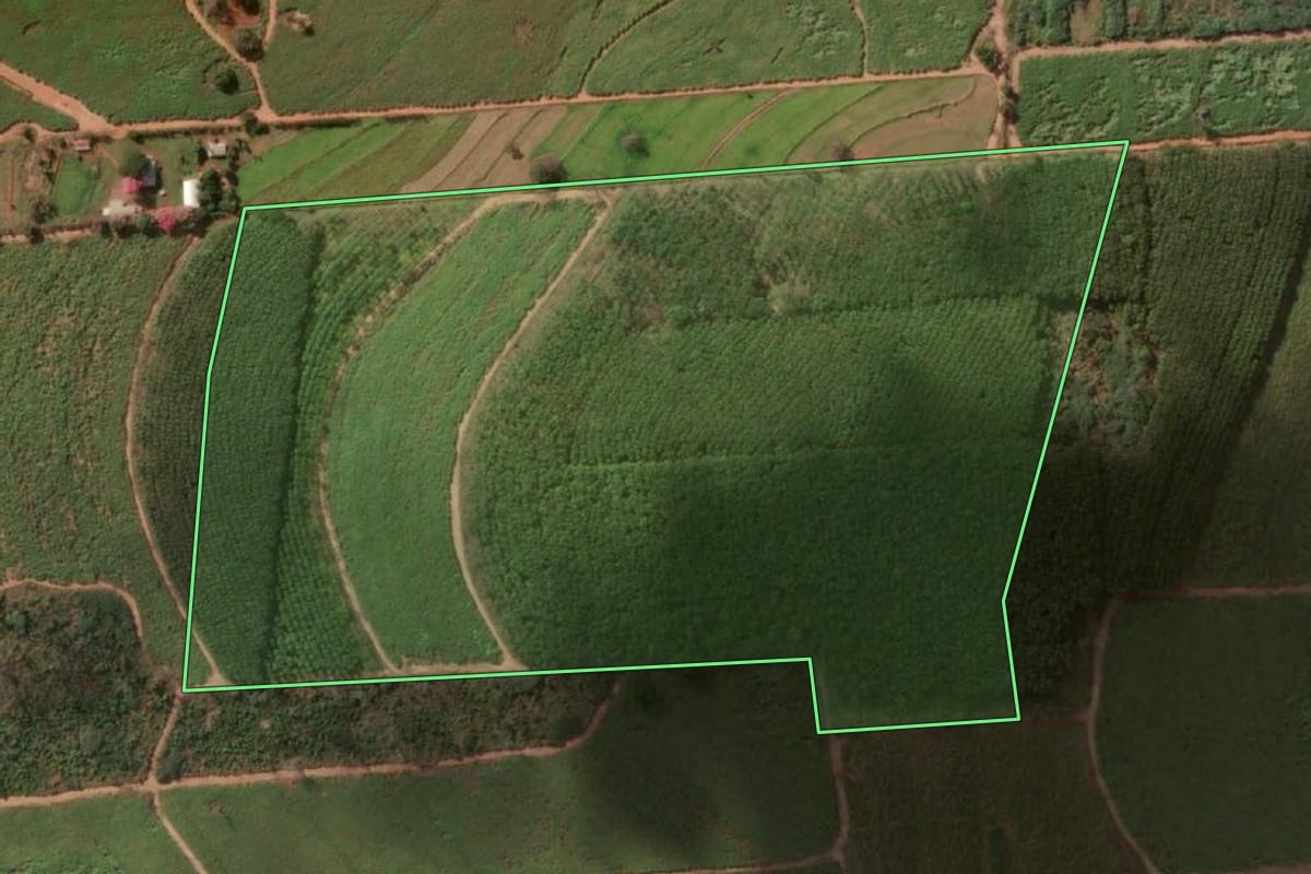 Imagem de satélite do imóvel rural em Sebastianópolis do Sul (SP), com o contorno declarado no CAR desenhado por cima.