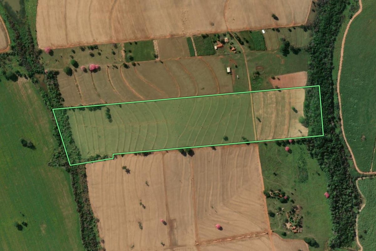 Imagem de satélite do imóvel rural em Sebastianópolis do Sul (SP), com o contorno declarado no CAR desenhado por cima.