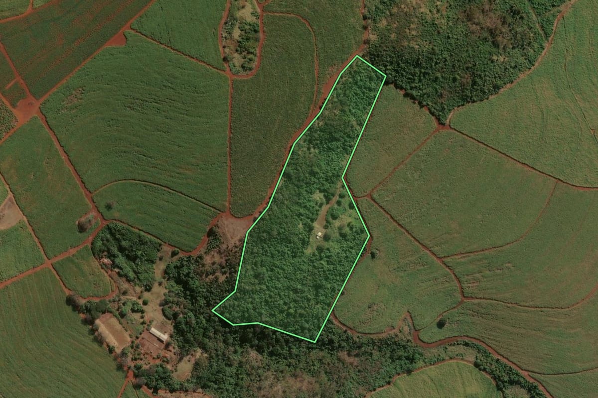 Imagem de satélite do imóvel rural em Serra Azul (SP), com o contorno declarado no CAR desenhado por cima.