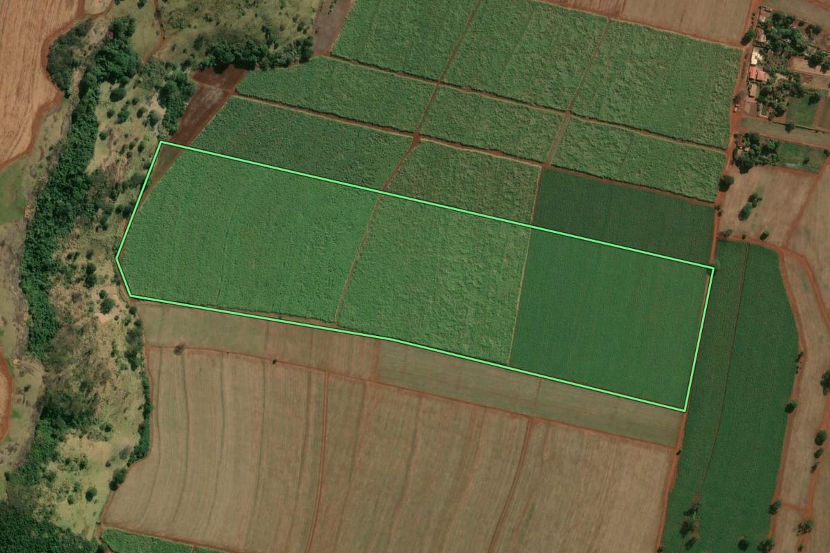 Imagem de satélite do imóvel rural em Serra Azul (SP), com o contorno declarado no CAR desenhado por cima.