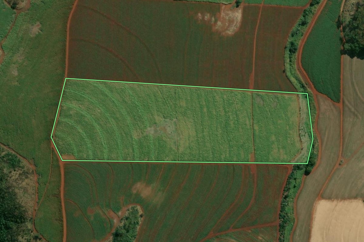 Imagem de satélite do imóvel rural em Serrana (SP), com o contorno declarado no CAR desenhado por cima.