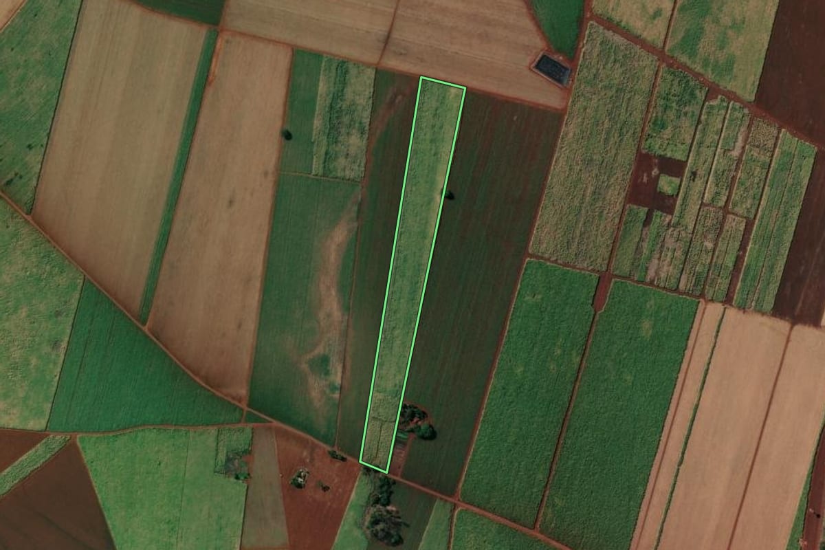 Imagem de satélite do imóvel rural em Sertãozinho (SP), com o contorno declarado no CAR desenhado por cima.