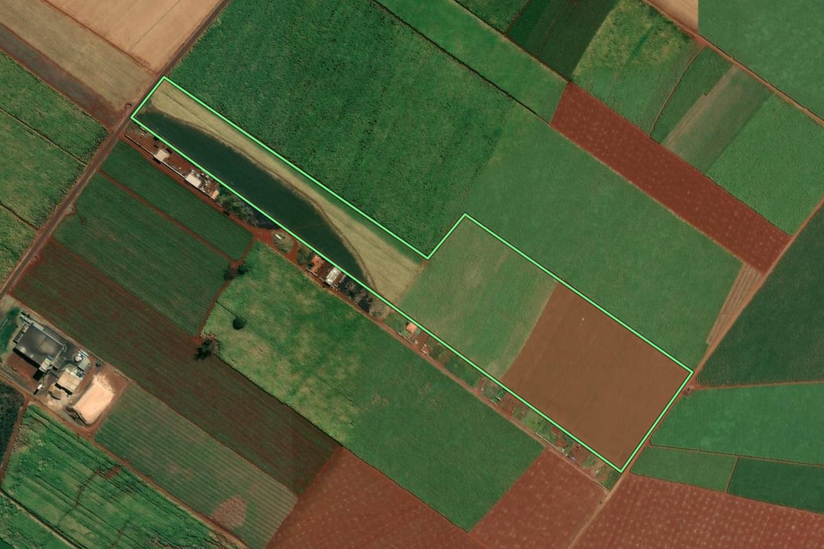Imagem de satélite do imóvel rural em Sertãozinho (SP), com o contorno declarado no CAR desenhado por cima.