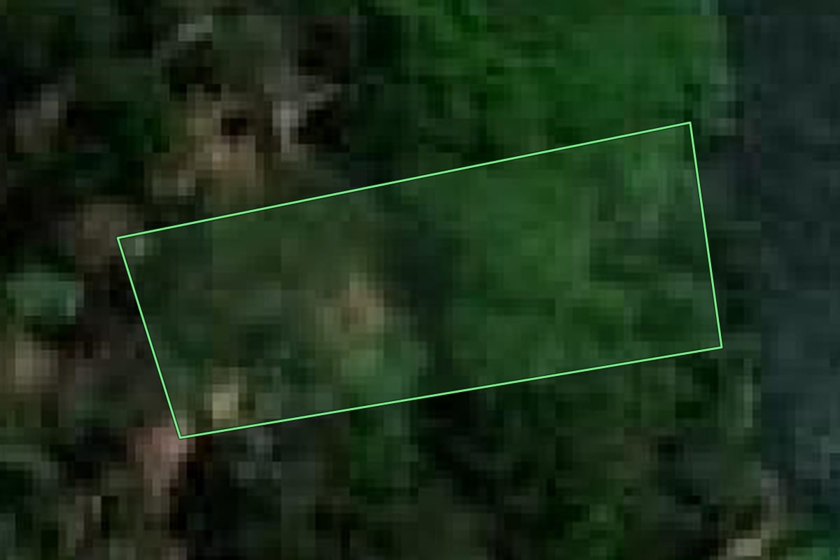 Imagem de satélite do imóvel rural em Sertãozinho (SP), com o contorno declarado no CAR desenhado por cima.