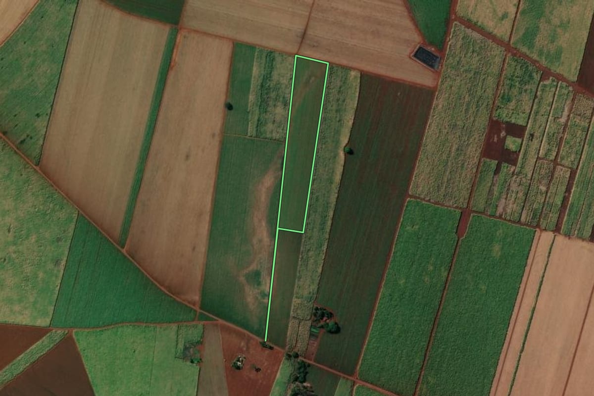 Imagem de satélite do imóvel rural em Sertãozinho (SP), com o contorno declarado no CAR desenhado por cima.