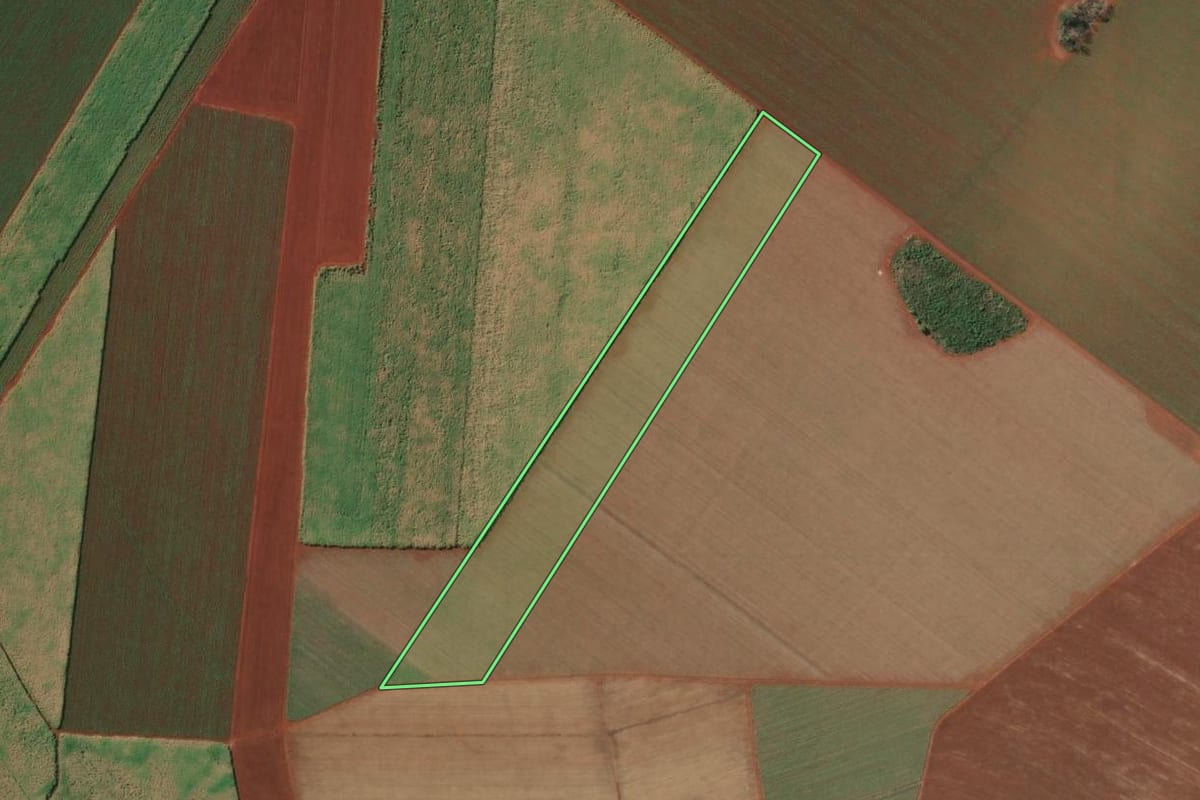 Imagem de satélite do imóvel rural em Sertãozinho (SP), com o contorno declarado no CAR desenhado por cima.