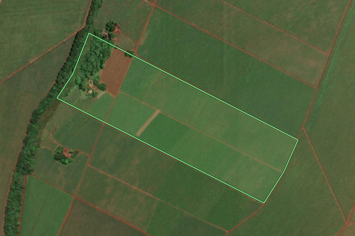 Imagem de satélite do imóvel rural em Sertãozinho (SP), com o contorno declarado no CAR desenhado por cima.