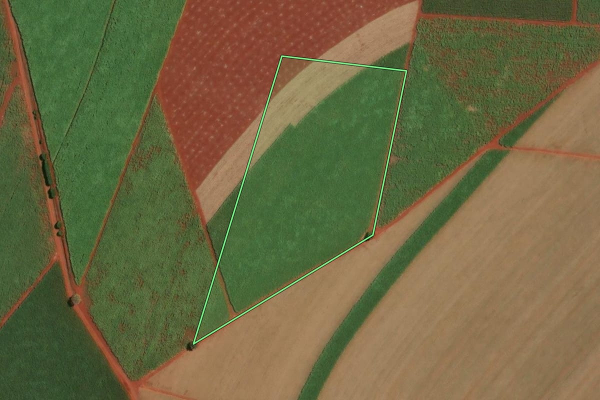 Imagem de satélite do imóvel rural em Sertãozinho (SP), com o contorno declarado no CAR desenhado por cima.