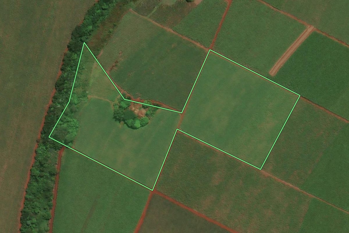Imagem de satélite do imóvel rural em Sertãozinho (SP), com o contorno declarado no CAR desenhado por cima.