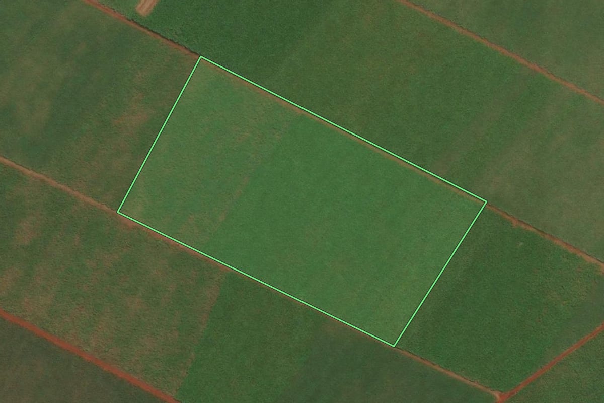 Imagem de satélite do imóvel rural em Sertãozinho (SP), com o contorno declarado no CAR desenhado por cima.