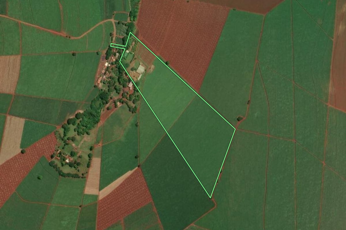 Imagem de satélite do imóvel rural em Sertãozinho (SP), com o contorno declarado no CAR desenhado por cima.