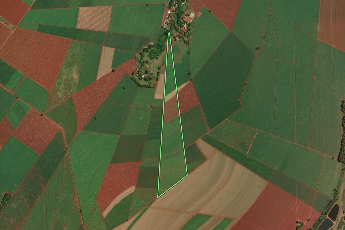 Imagem de satélite do imóvel rural em Sertãozinho (SP), com o contorno declarado no CAR desenhado por cima.