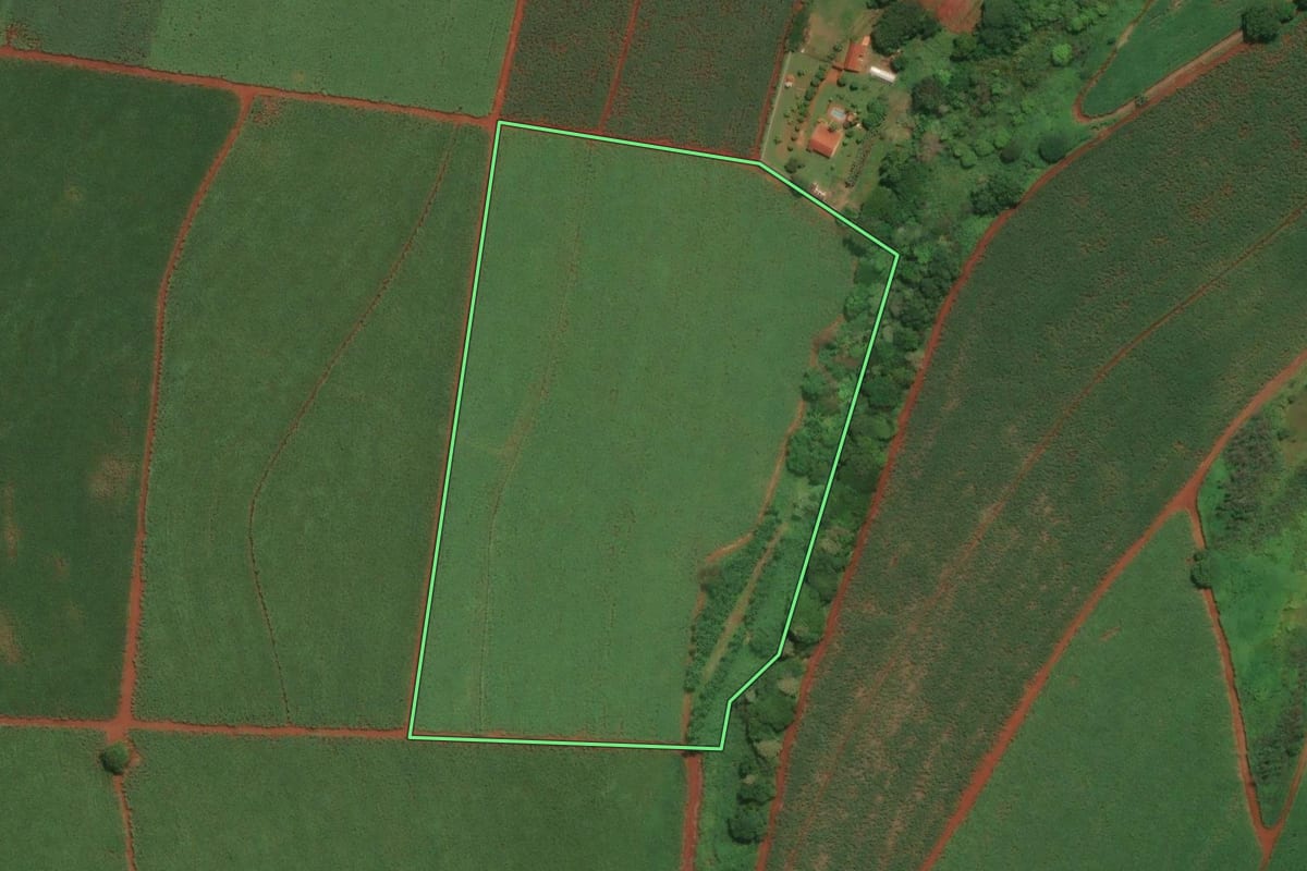 Imagem de satélite do imóvel rural em Sertãozinho (SP), com o contorno declarado no CAR desenhado por cima.