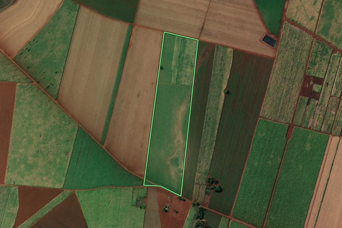 Imagem de satélite do imóvel rural em Sertãozinho (SP), com o contorno declarado no CAR desenhado por cima.