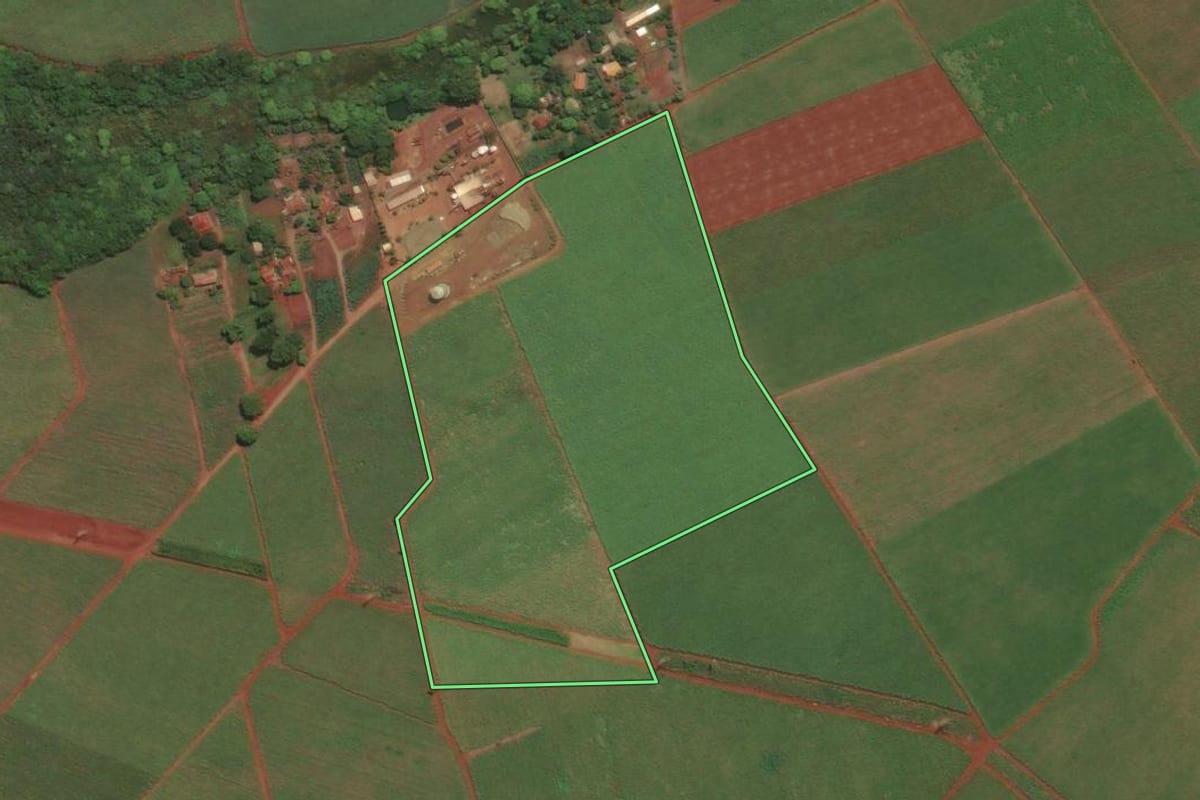 Imagem de satélite do imóvel rural em Sertãozinho (SP), com o contorno declarado no CAR desenhado por cima.