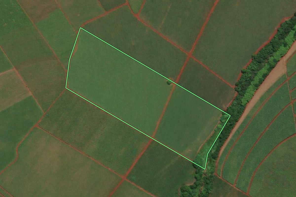 Imagem de satélite do imóvel rural em Sertãozinho (SP), com o contorno declarado no CAR desenhado por cima.