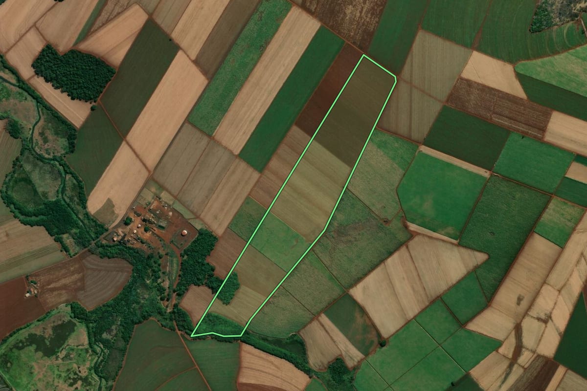 Imagem de satélite do imóvel rural em Sertãozinho (SP), com o contorno declarado no CAR desenhado por cima.
