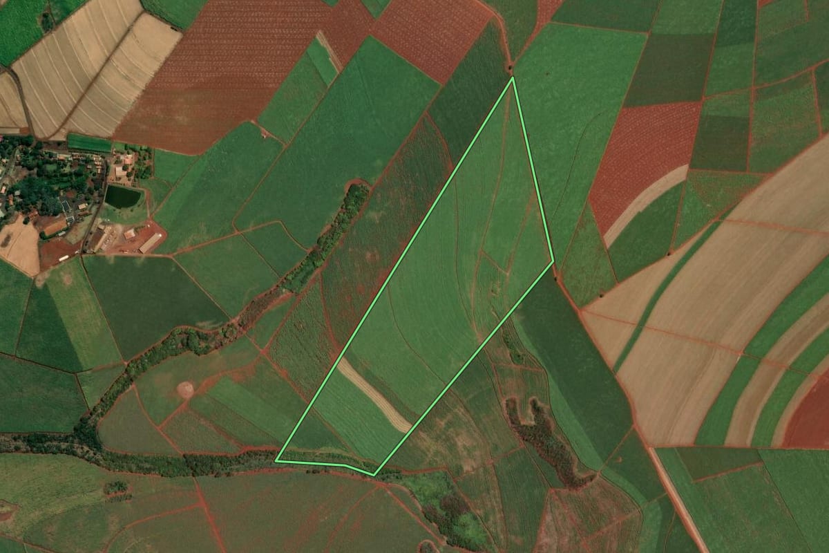 Imagem de satélite do imóvel rural em Sertãozinho (SP), com o contorno declarado no CAR desenhado por cima.