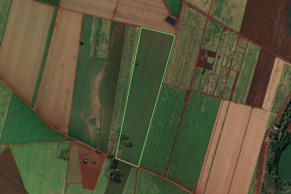 Imagem de satélite do imóvel rural em Sertãozinho (SP), com o contorno declarado no CAR desenhado por cima.