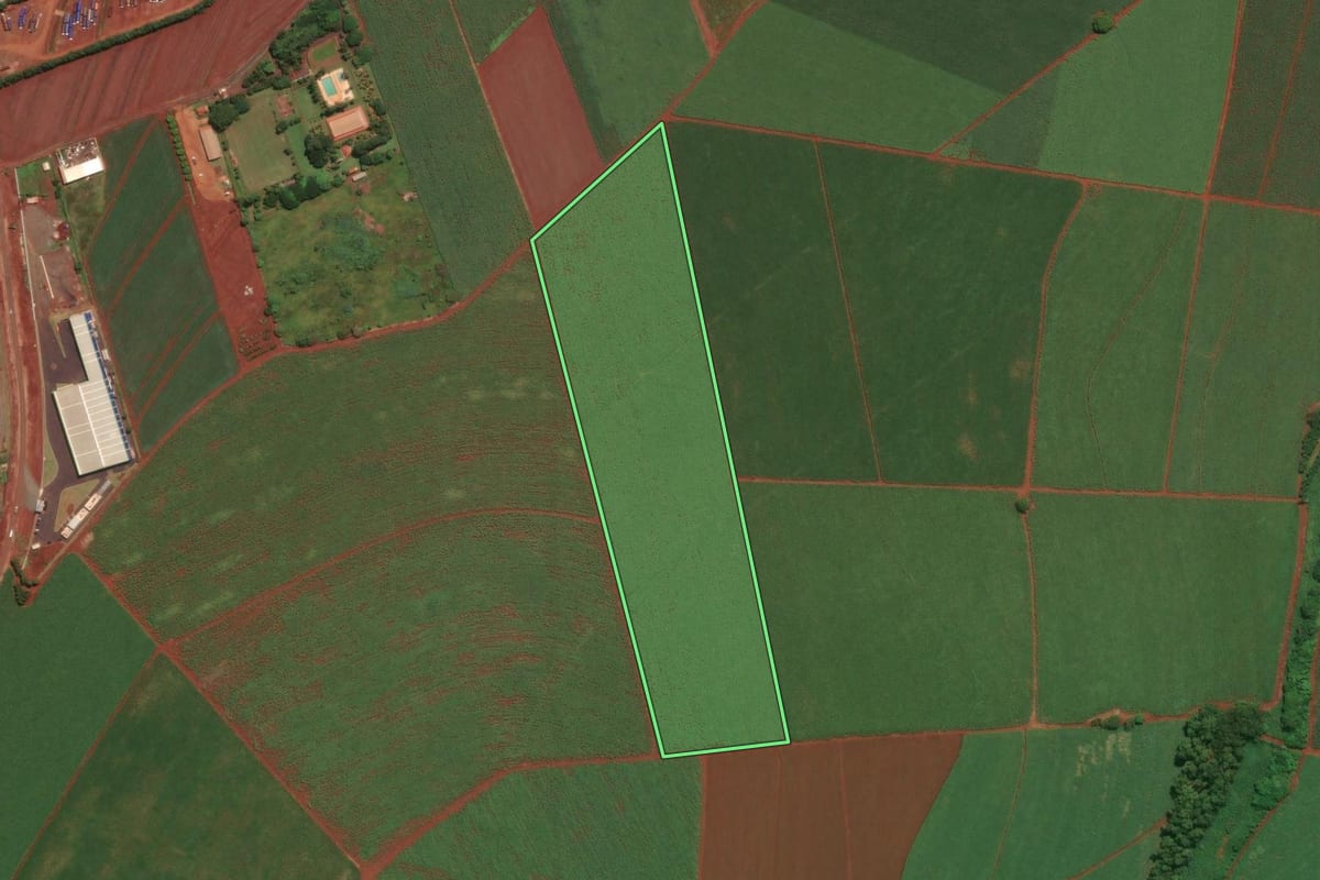 Imagem de satélite do imóvel rural em Sertãozinho (SP), com o contorno declarado no CAR desenhado por cima.