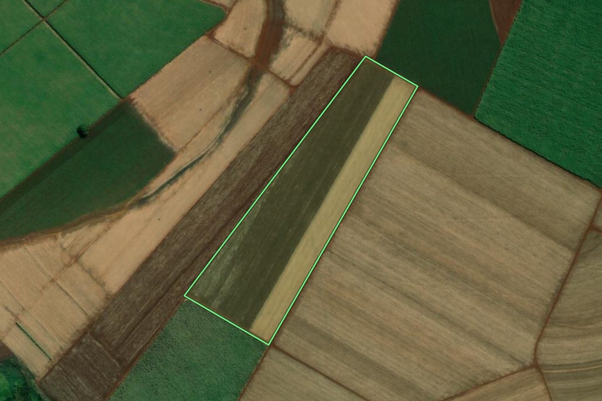 Imagem de satélite do imóvel rural em Sertãozinho (SP), com o contorno declarado no CAR desenhado por cima.