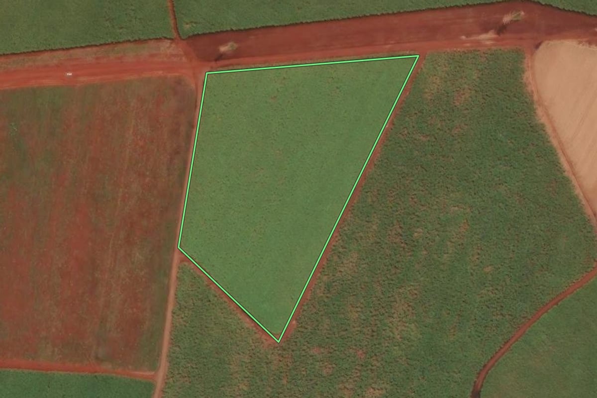Imagem de satélite do imóvel rural em Sertãozinho (SP), com o contorno declarado no CAR desenhado por cima.