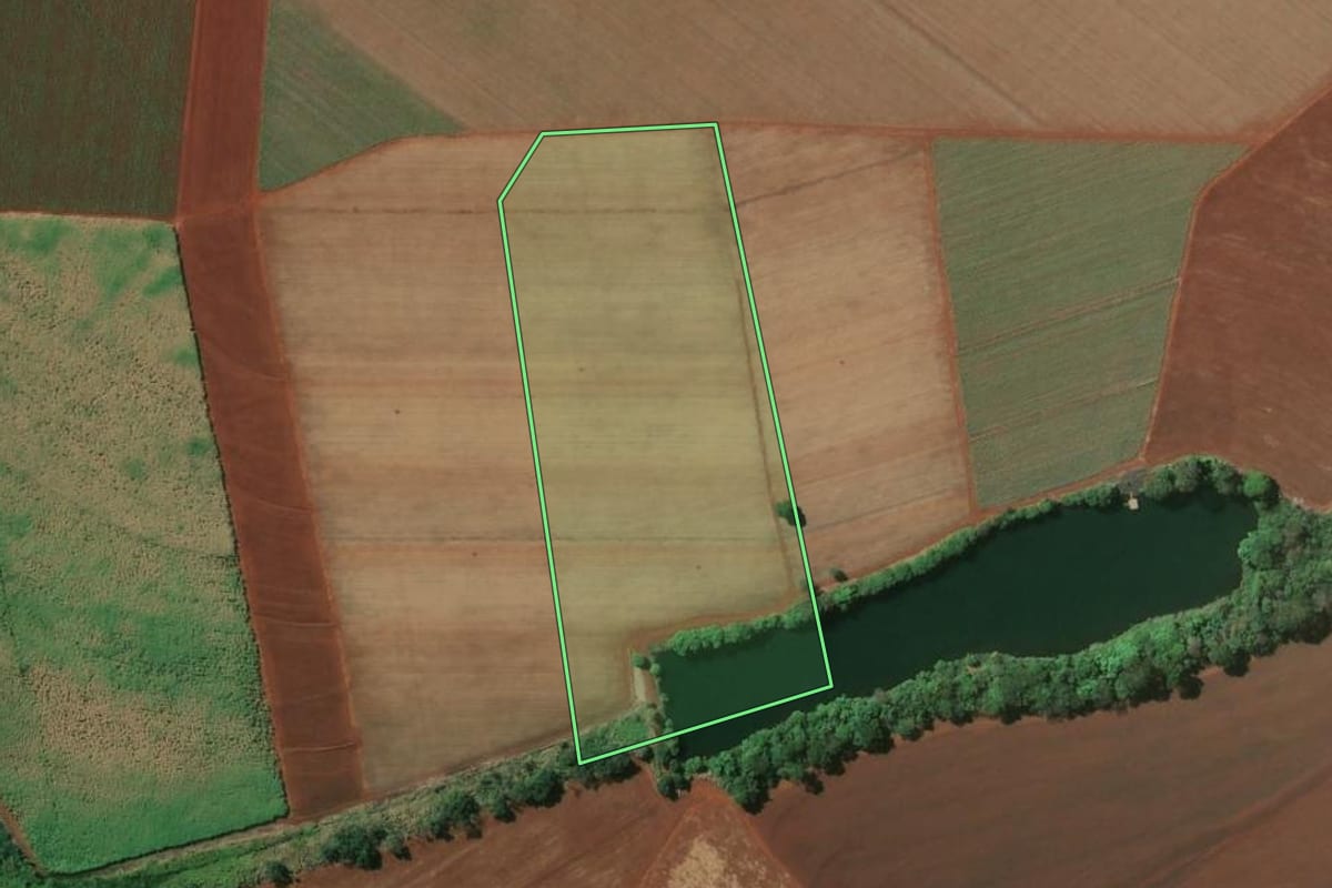Imagem de satélite do imóvel rural em Sertãozinho (SP), com o contorno declarado no CAR desenhado por cima.