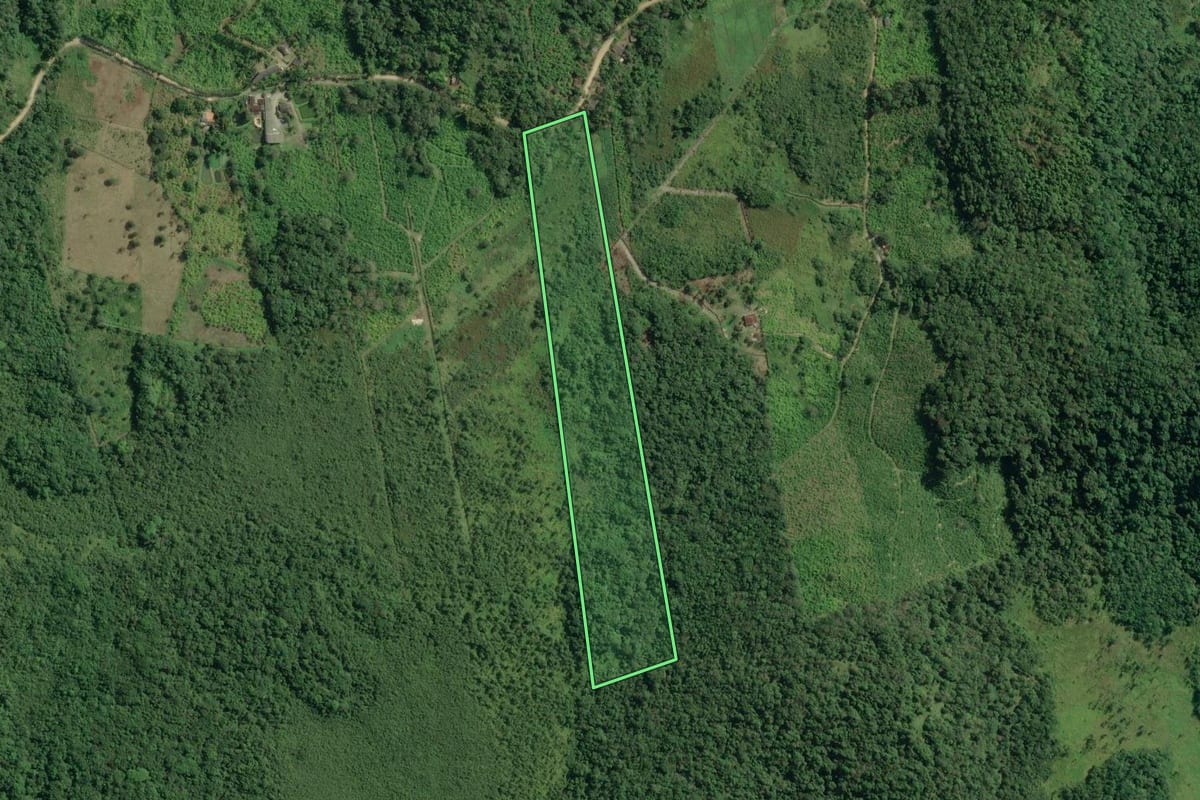 Imagem de satélite do imóvel rural em Sete Barras (SP), com o contorno declarado no CAR desenhado por cima.