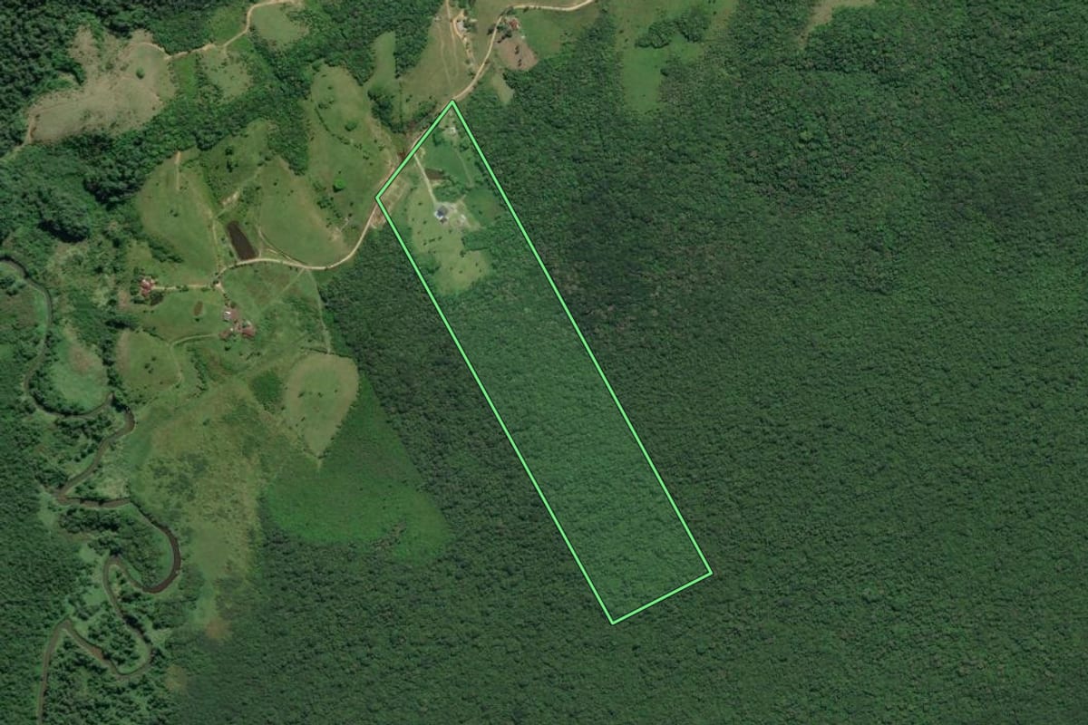 Imagem de satélite do imóvel rural em Sete Barras (SP), com o contorno declarado no CAR desenhado por cima.