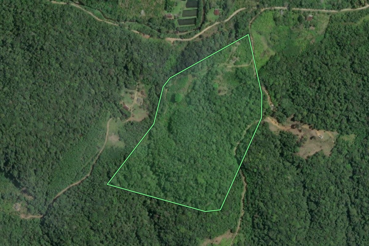 Imagem de satélite do imóvel rural em Sete Barras (SP), com o contorno declarado no CAR desenhado por cima.
