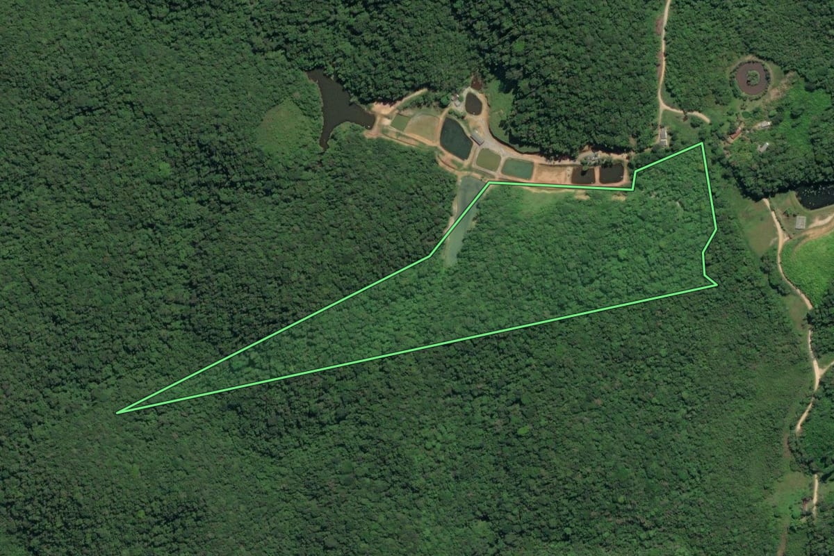 Imagem de satélite do imóvel rural em Sete Barras (SP), com o contorno declarado no CAR desenhado por cima.