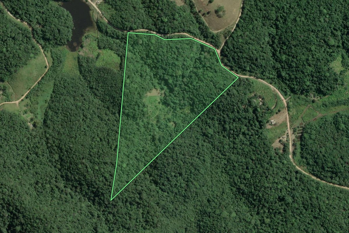 Imagem de satélite do imóvel rural em Sete Barras (SP), com o contorno declarado no CAR desenhado por cima.