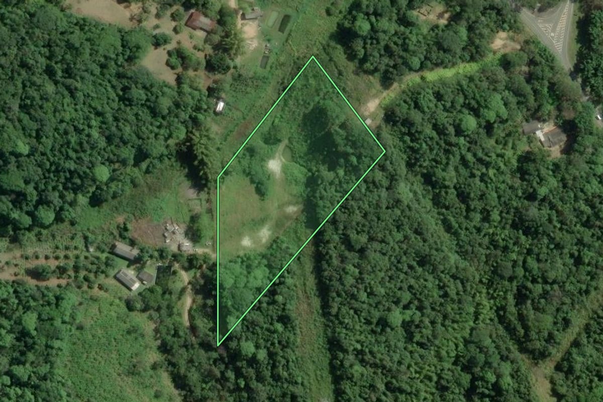 Imagem de satélite do imóvel rural em Sete Barras (SP), com o contorno declarado no CAR desenhado por cima.