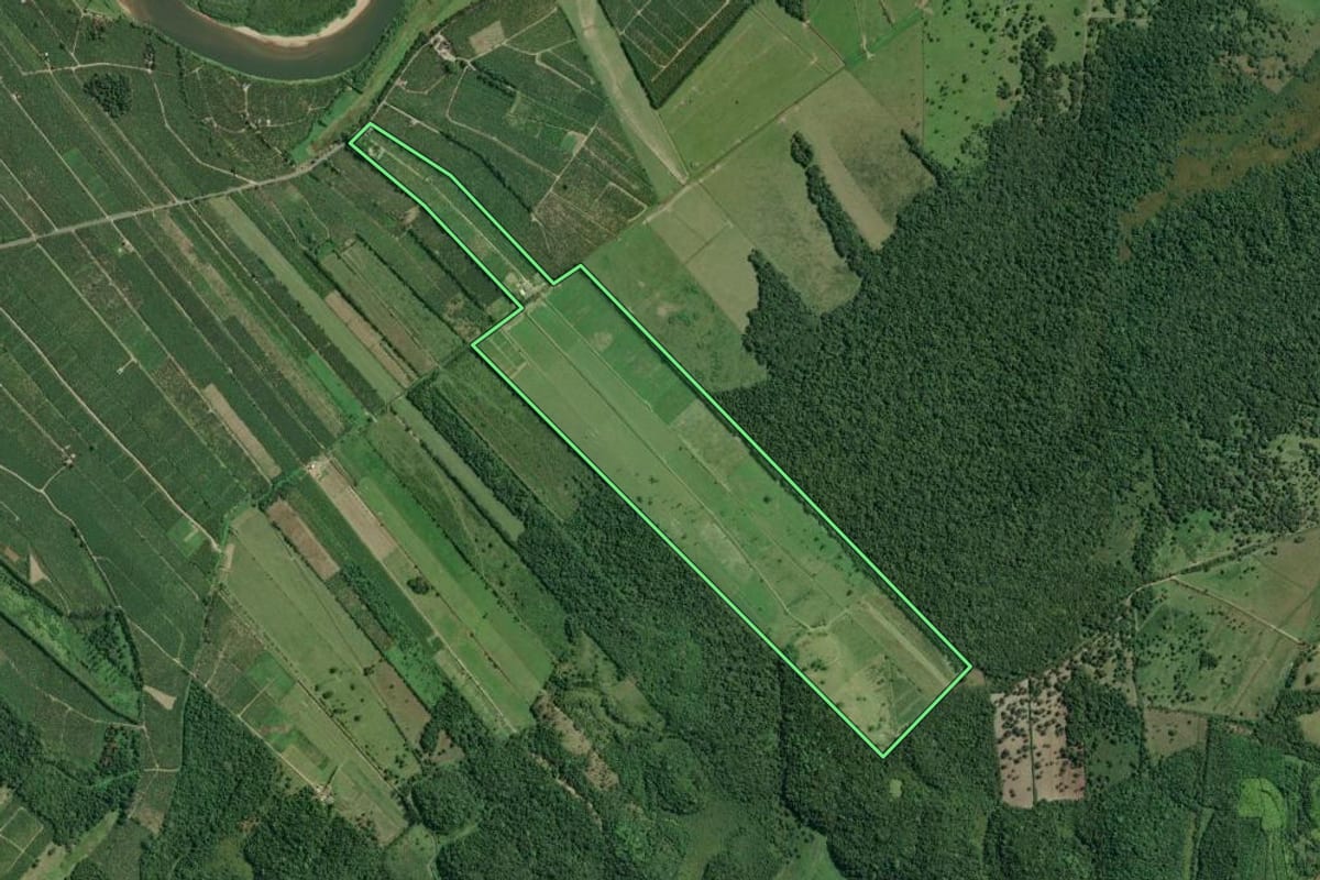 Imagem de satélite do imóvel rural em Sete Barras (SP), com o contorno declarado no CAR desenhado por cima.
